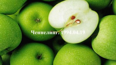 Ченнелинг Волжской группы. 1994-04-19